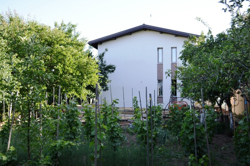 Militari,